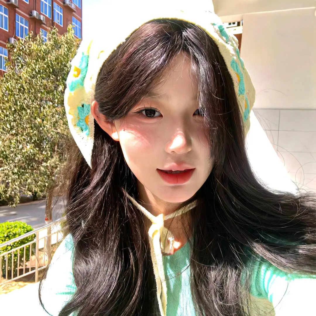 鲨与鲸
